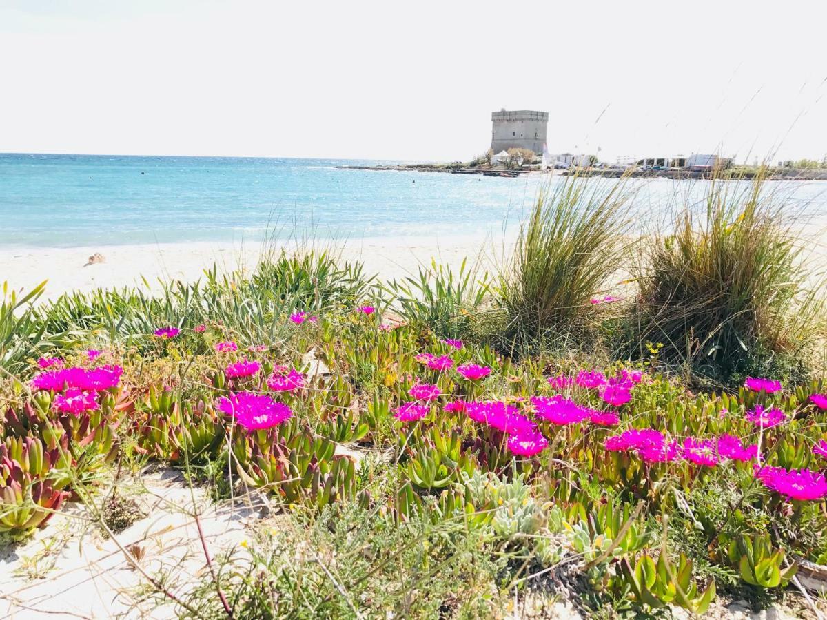 Casa Vacanze Dei Bacini Porto Cesareo Dış mekan fotoğraf
